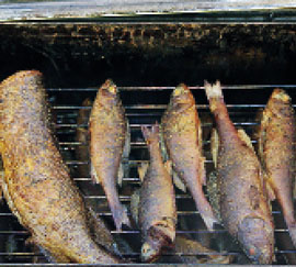 Свежая рыба - коптим или жарим на гриле